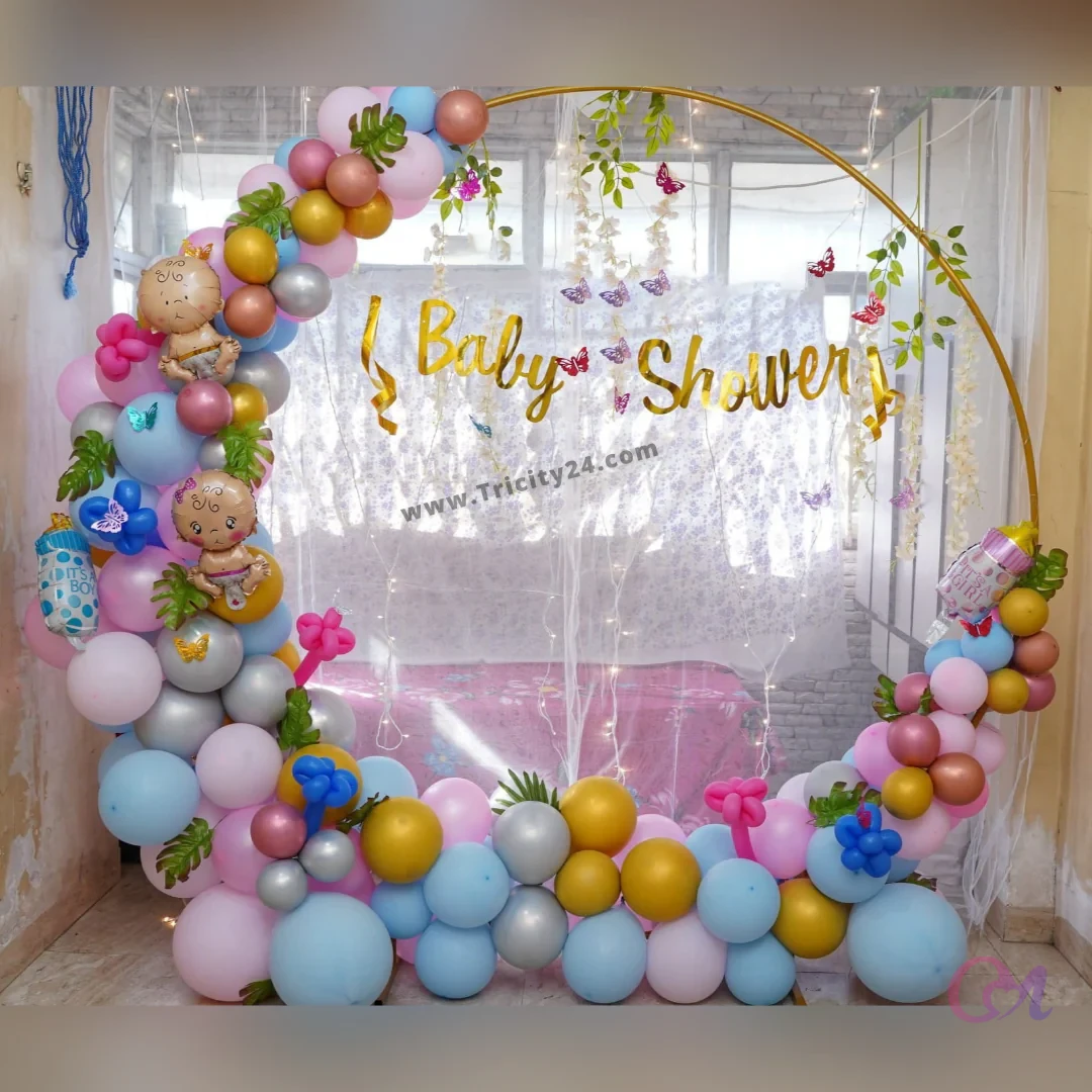 Premium Ring Backdrop Baby Shower